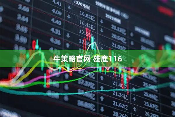 牛策略官网 雄鹿116