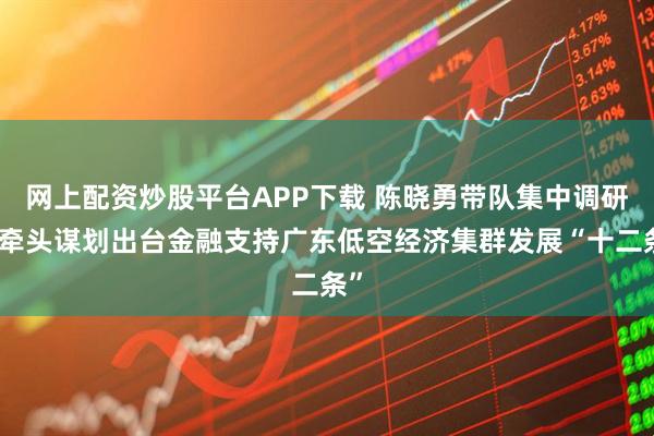 网上配资炒股平台APP下载 陈晓勇带队集中调研、牵头谋划出台金融支持广东低空经济集群发展“十二条”